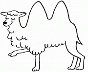 chameau avec  ses 2 bosses dessin à colorier